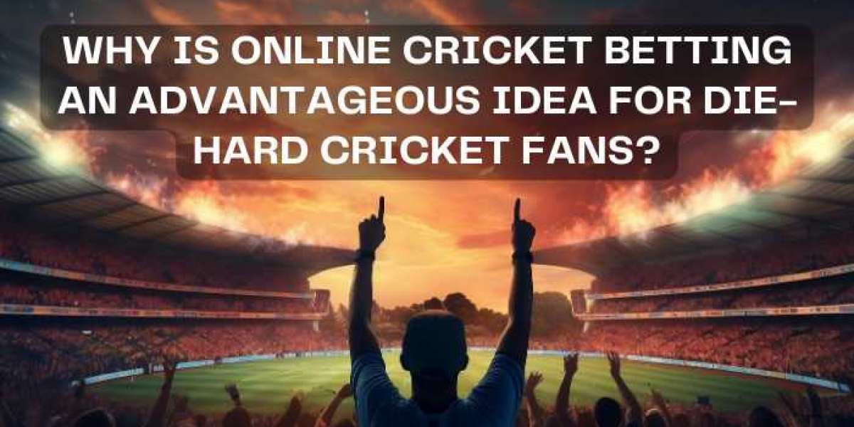 Why is online cricket betting an advantageous idea for die-hard cricket fans?