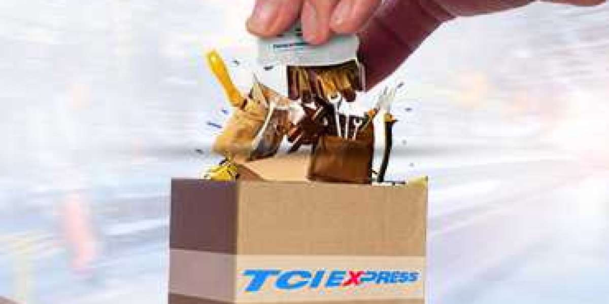 Understanding the Importance of Cold Chain Logistics with TCI Express