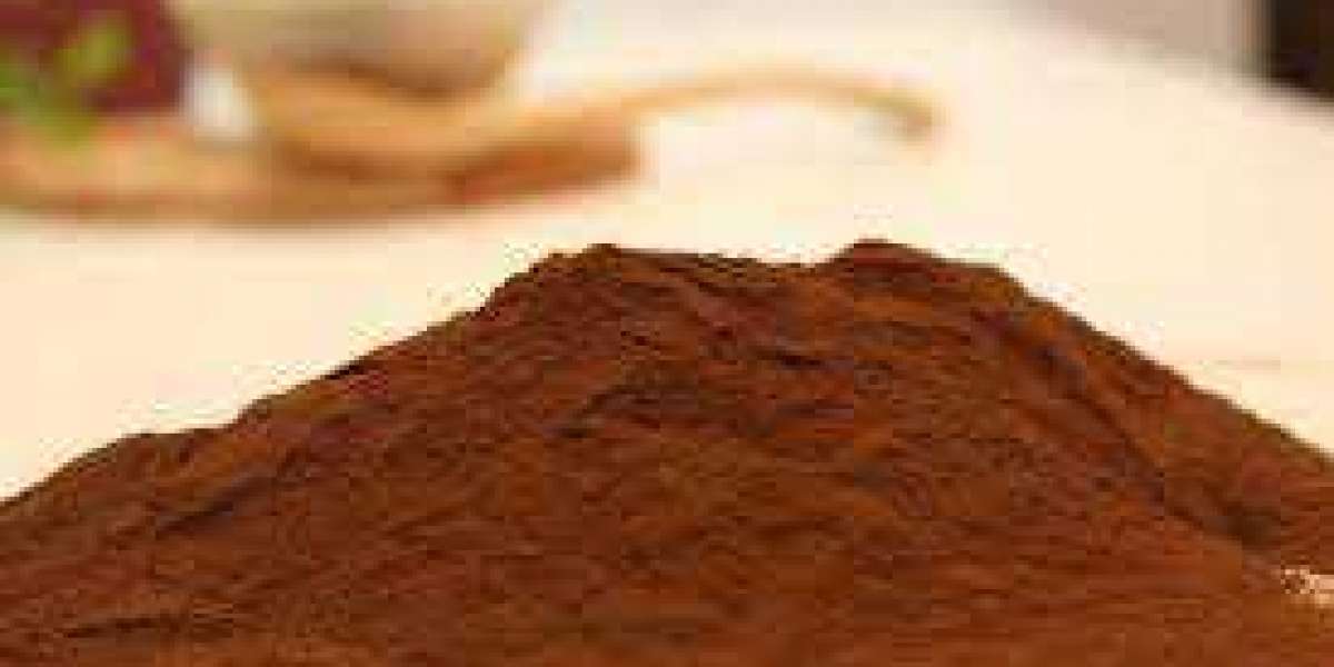 Chocolate Powder Manufacturing Plant Project Report 2024: Industry Trends, Plant Setup, Machinery and Raw Materials