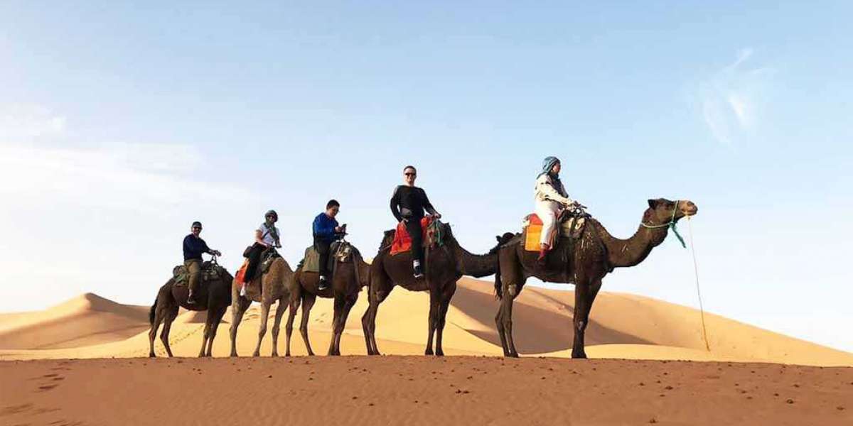 Embark on the Ultimate Adventure: The Best 2 Days Tour from Marrakech to Merzouga