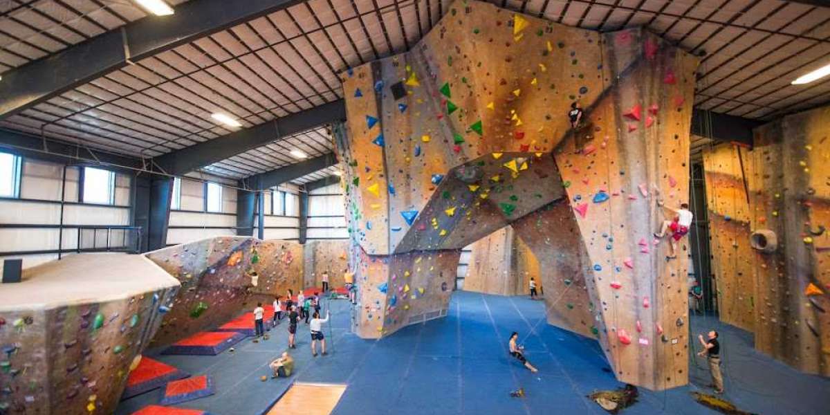 From Rocks to Resilience: Insights into Europe's Climbing Gym Renaissance