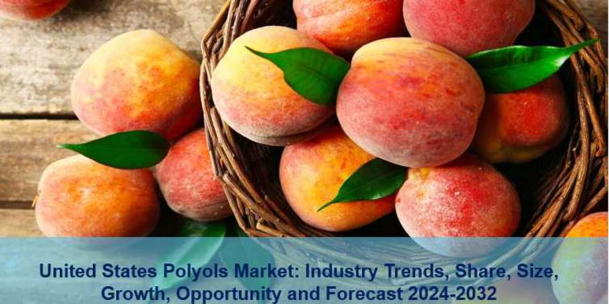 United States Polyols Market Report, Trends, Growth & Forecast 2024-2032