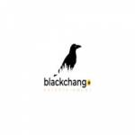 blackchangoentertainment Profile Picture