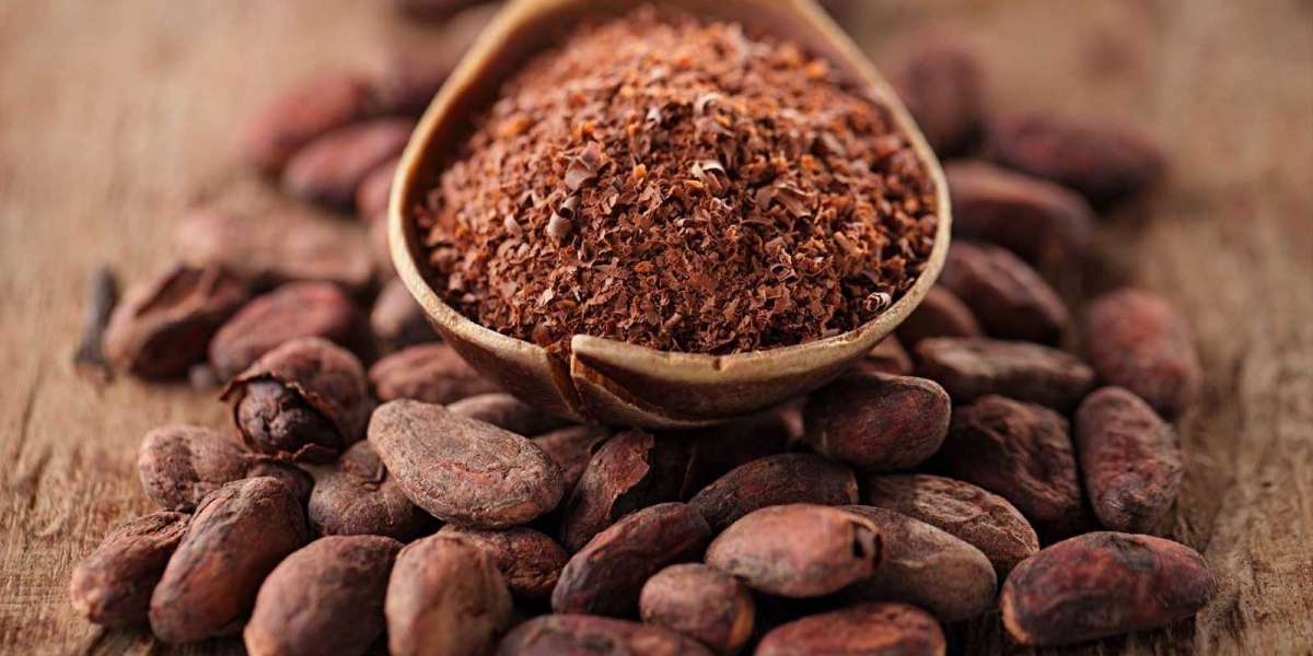 Project Report 2024: Setting up a Cocoa Bean Processing Plant