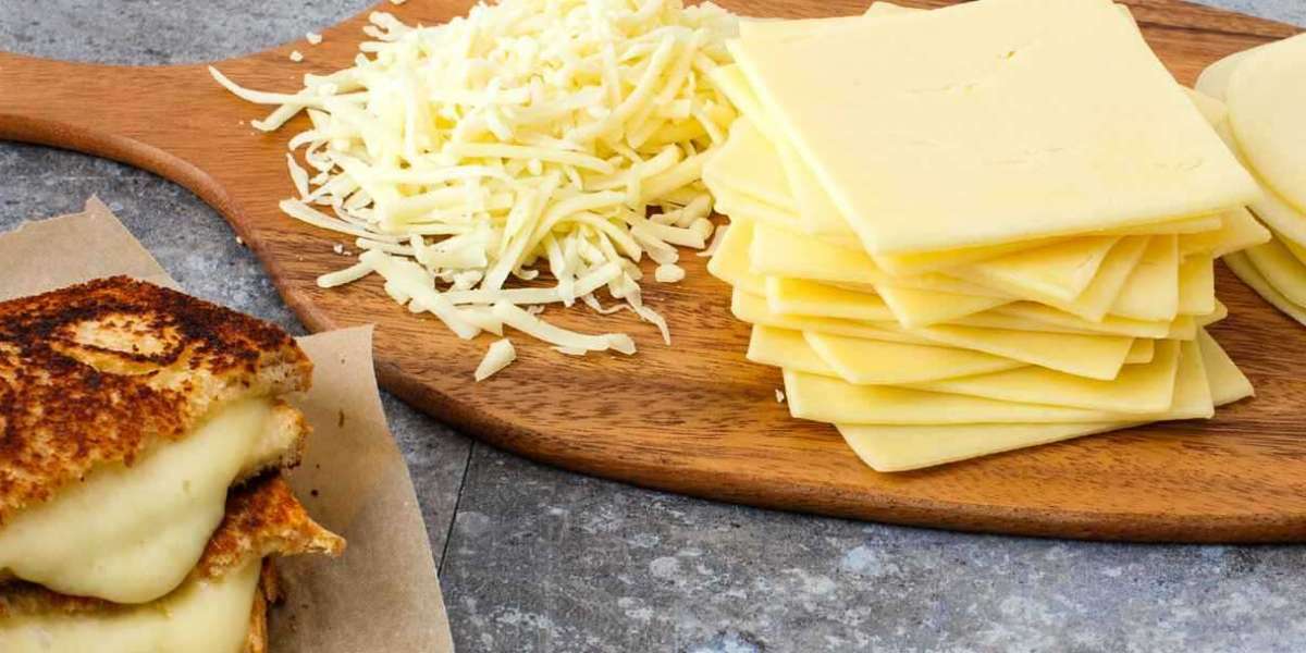 Cheese Manufacturing Plant Project Report 2024: Setup Cost, Business Plan and Profit Margin