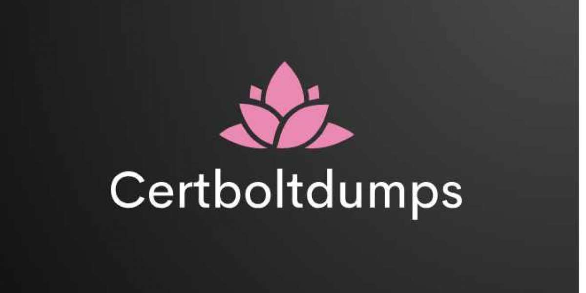 How to Succeed Using Certboltdumps Strategies