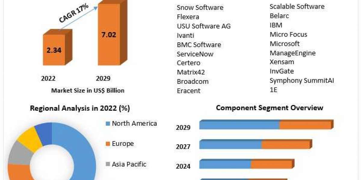 Software Asset Management Market Key Stakeholders, Growth Opportunities, Value Chain and Sales Channels Analysis 2029