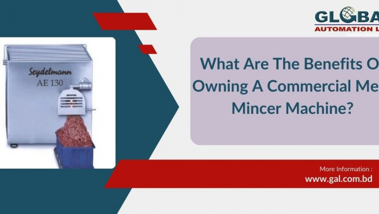 What Are The Benefits Of Owning A Commercial Meat Mincer Machine? | Gadget