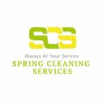 springcleaning Profile Picture