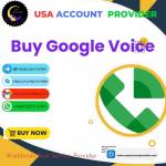 googlevoice Profile Picture