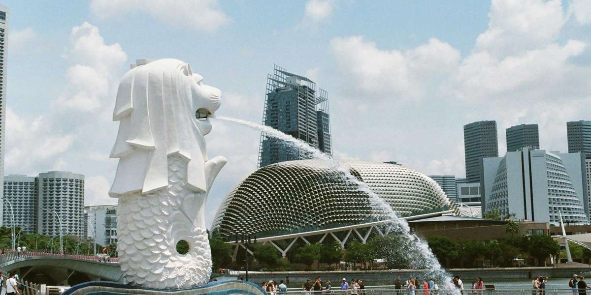 Navigating Singapore's Immigration Landscape: Insights Ahead of the General Election