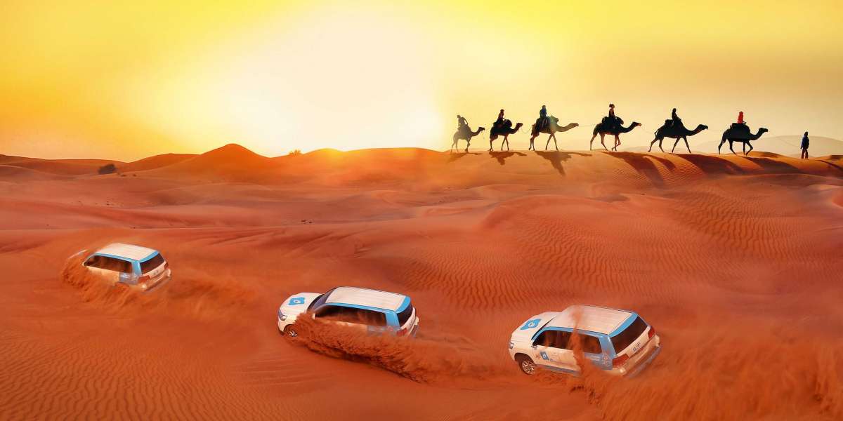 Discover the Thrills of Desert Safari Dubai Unforgettable Adventures Await