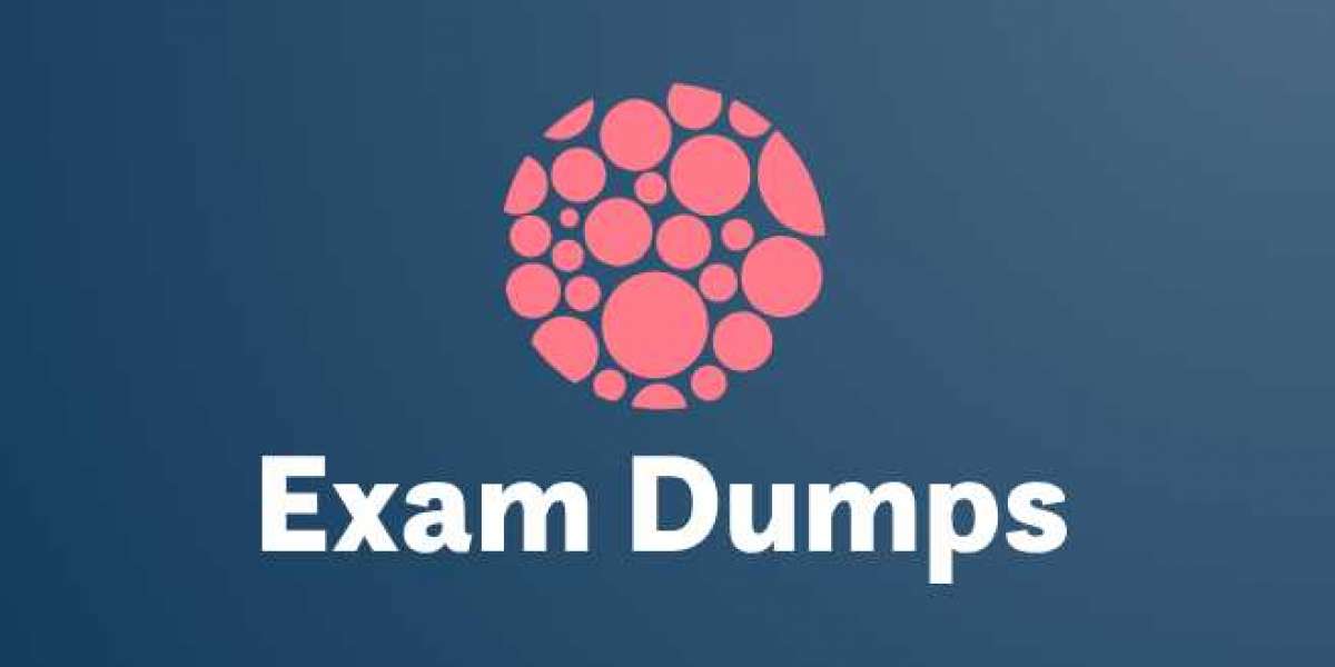How to Use Exam Dumps for Different Learning Styles