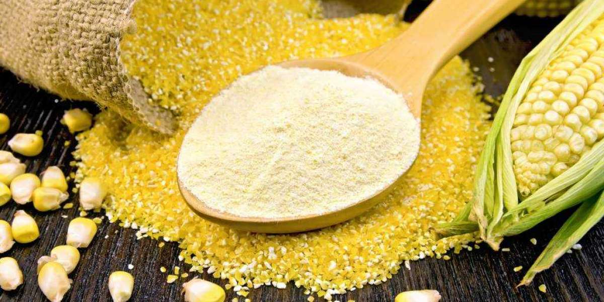 The Impact of COVID-19 on the Precooked Corn Flour Market: Lessons Learned and Opportunities Ahead
