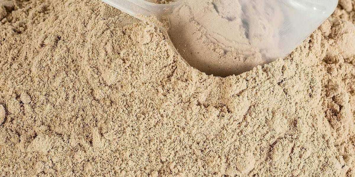 Market Bull Run: Anticipated Expansion in the Beef Protein Powder Sector