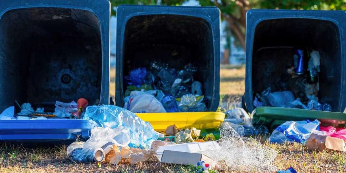 Pioneering Sustainability: Waste Management Solutions in Florida