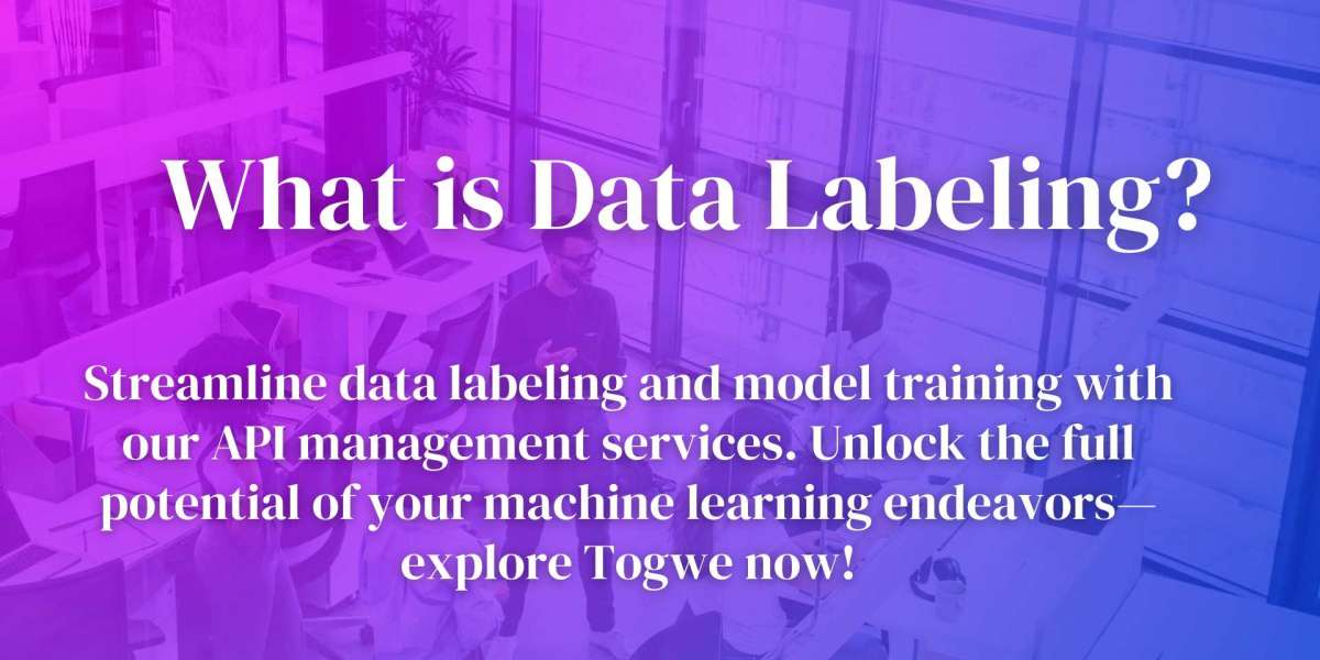 What is Data Labeling?