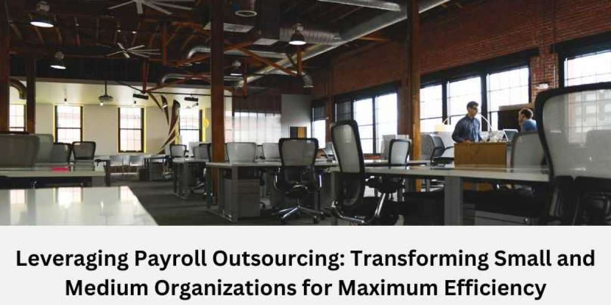Leveraging Payroll Outsourcing: Transforming Small and Medium Organizations for Maximum Efficiency
