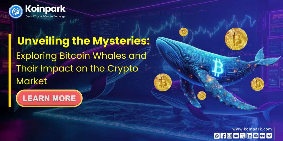 Unveiling the Mysteries: Exploring Bitcoin Whales and Their Impact on the Crypto Market