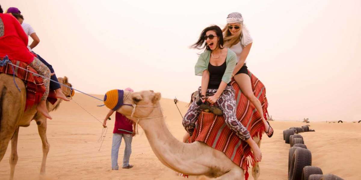 Explore Dubai's Top Desert Safari Tours