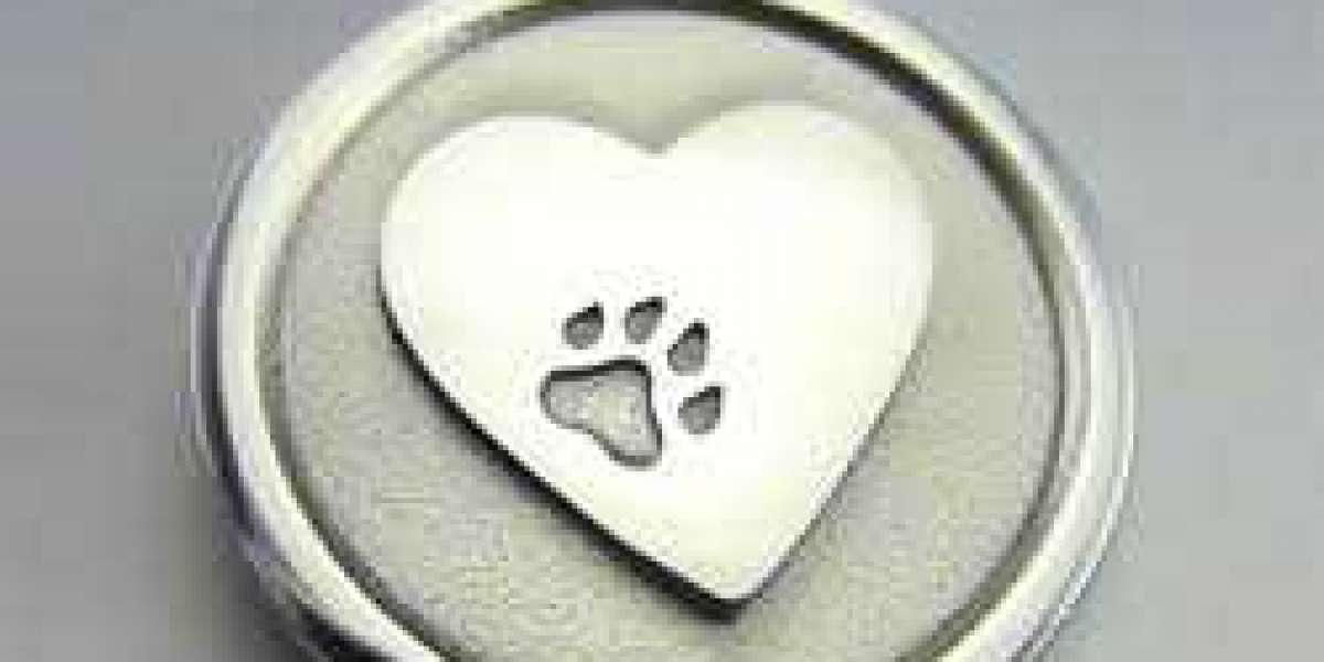 Pet Tag Perfection: Choosing the Right Stainless Steel Tag for Your Beloved Pet