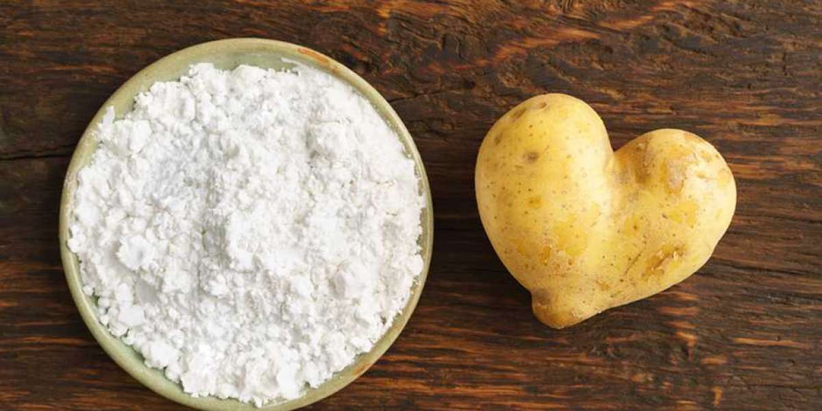 Growth Drivers of the Potato Starch Market