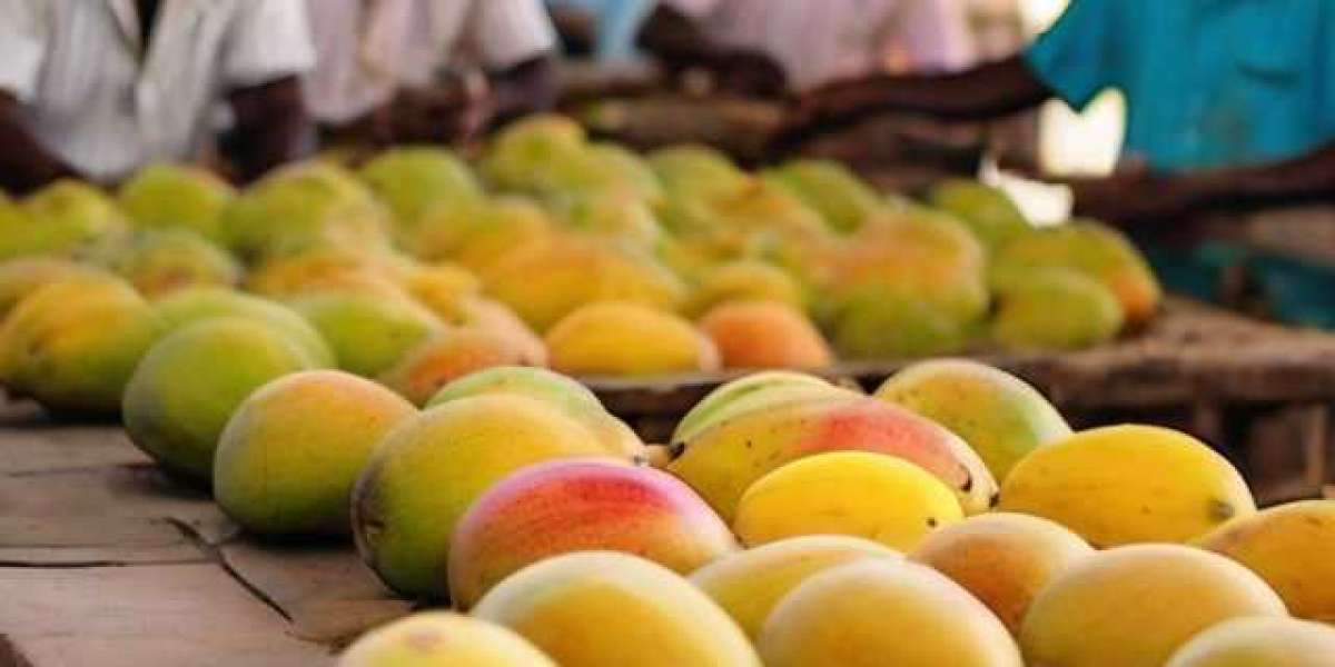 Mango Processing Plant Project Report 2024: Comprehensive Business Plan, Raw Material Requirements and Cost