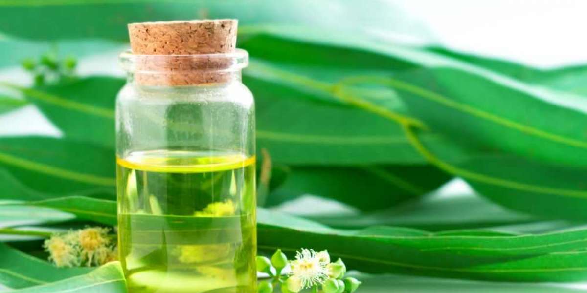 Eucalyptus Oil in Skincare: Uses and Advantages