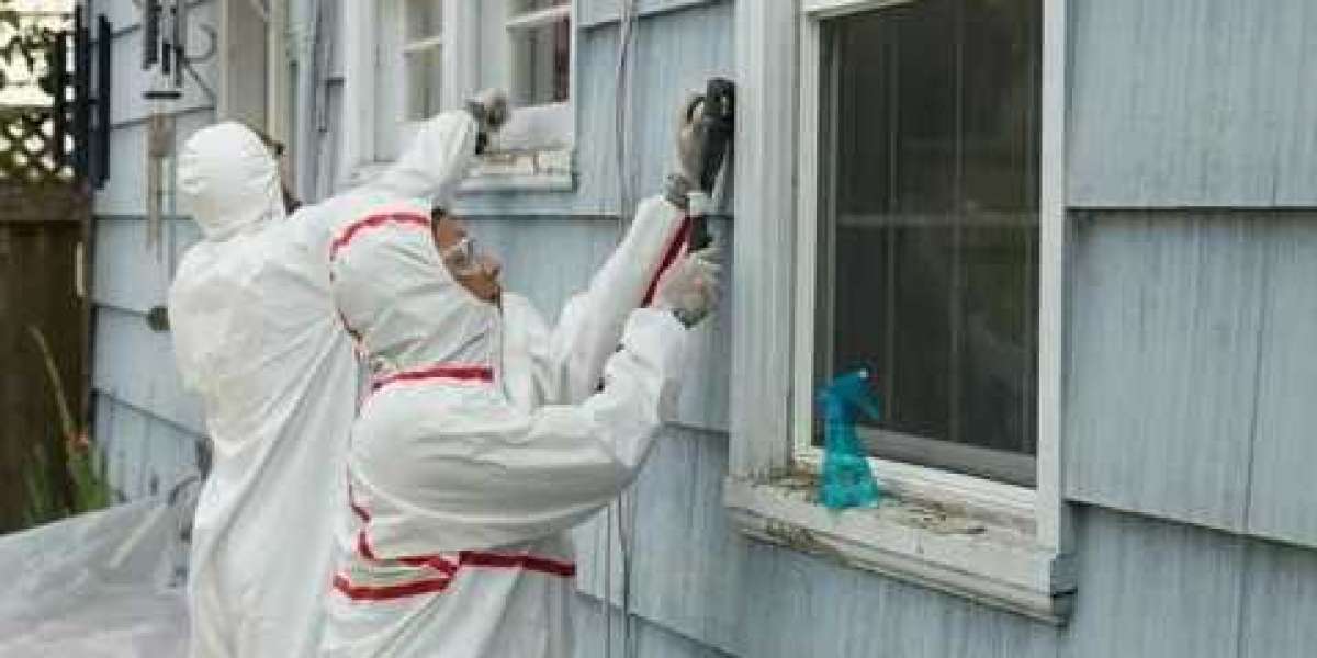 Understanding the Importance of Lead Inspection: Safeguarding Health and Homes