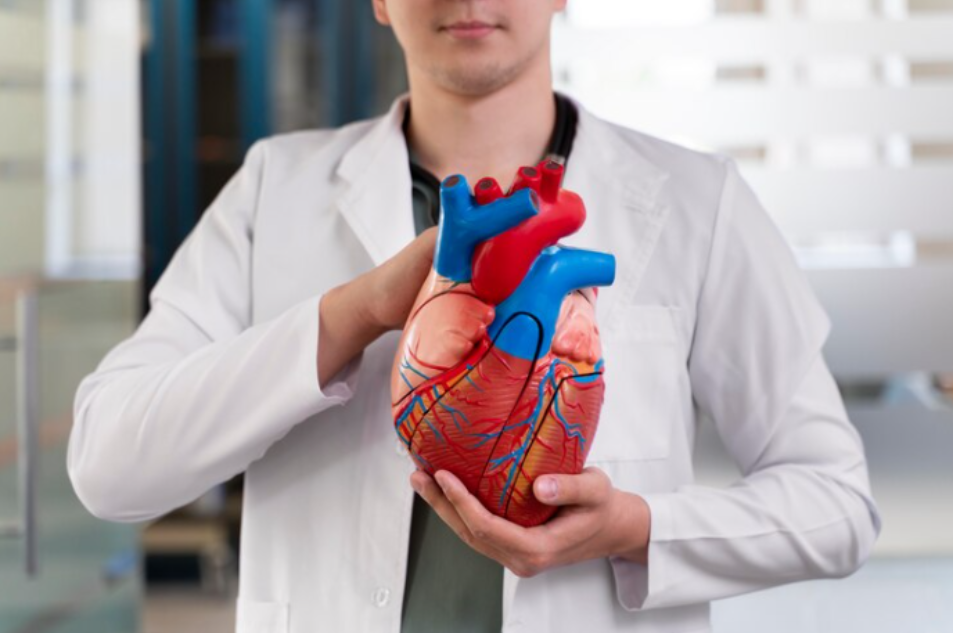 Cardiologist in Brooklyn NY