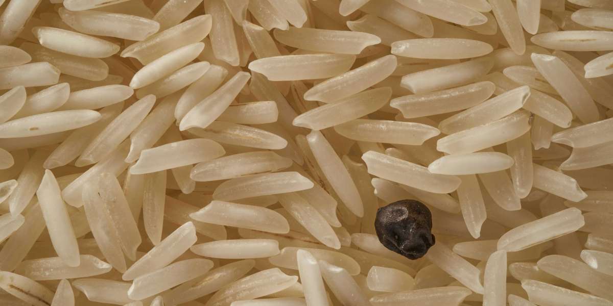 The Golden Grain: Exploring the Rich Legacy and Global Appeal of Basmati Rice