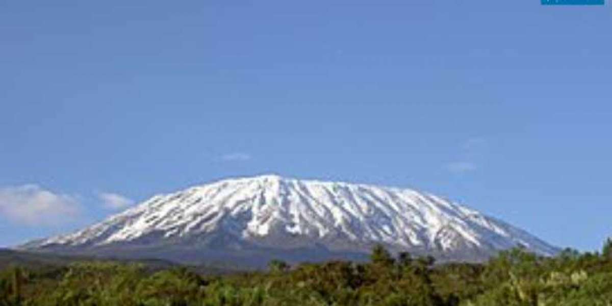 Mount Kilimanjaro Trek with Kahlur Adventures: Exploring the Machame Route
