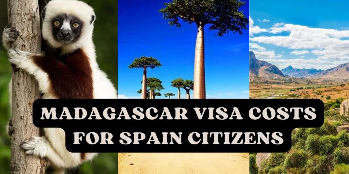 madagascar visa costs for spain citizens