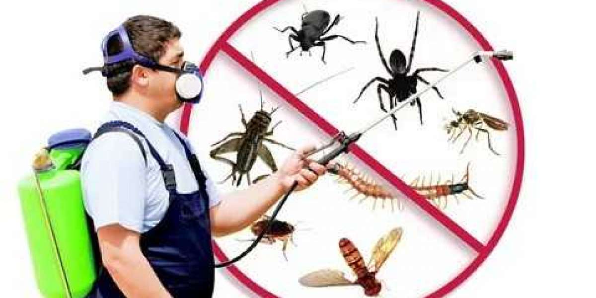 Comprehensive Guide to PestControl:  Protecting Your Home and Health