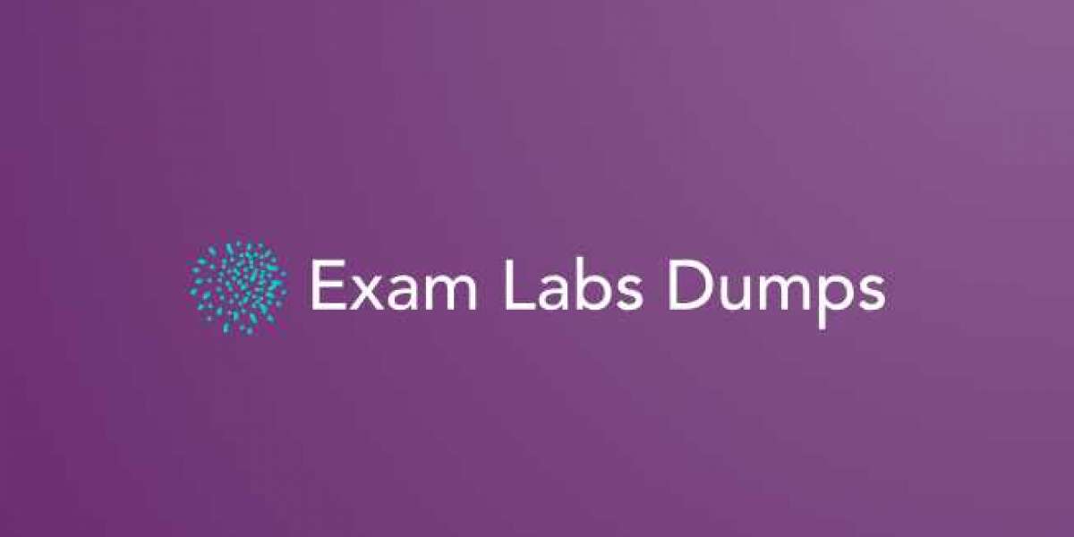 How to Get the Most Out of Exam Labs Dumps