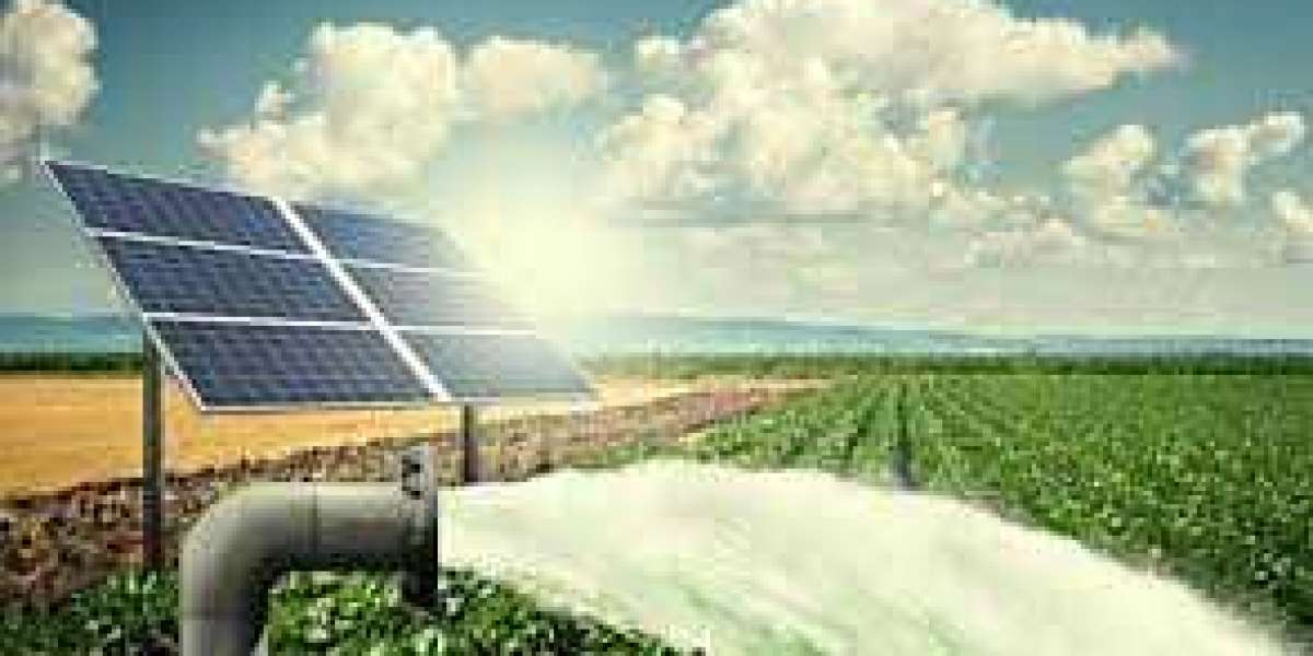 The Impact of Solar Technology on Agriculture in Pakistan