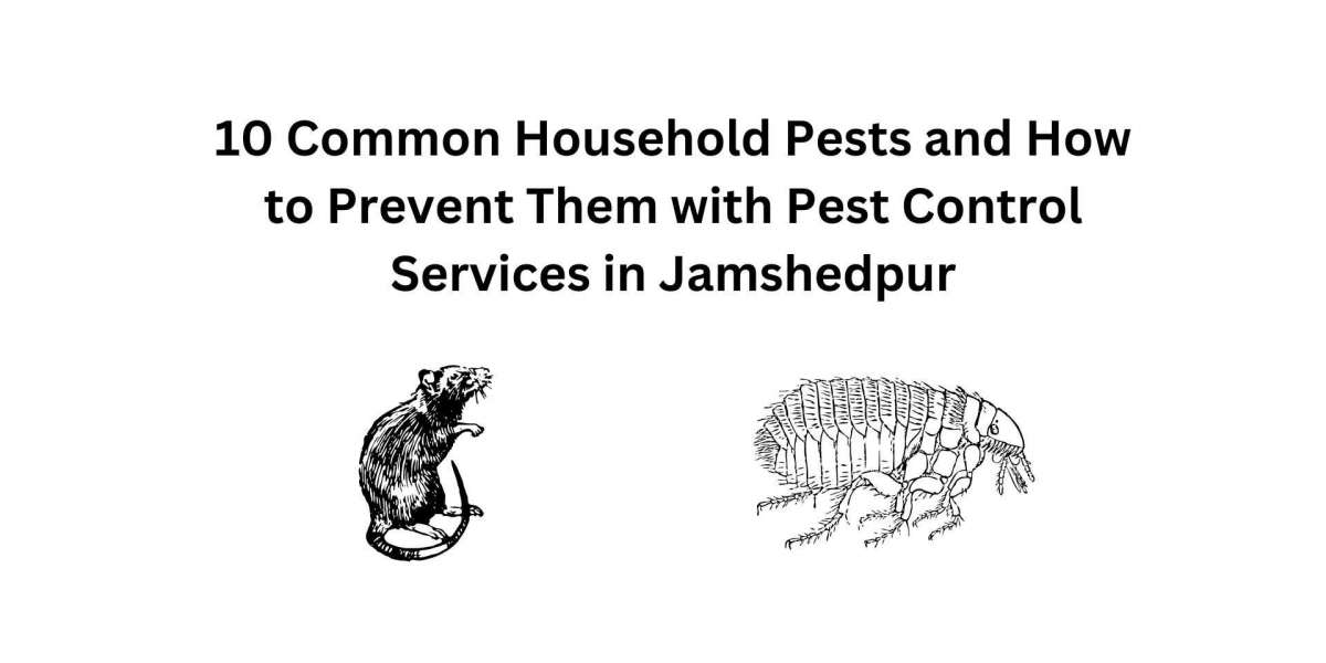 10 Common Household Pests and How to Prevent Them with Pest Control Services in Jamshedpur