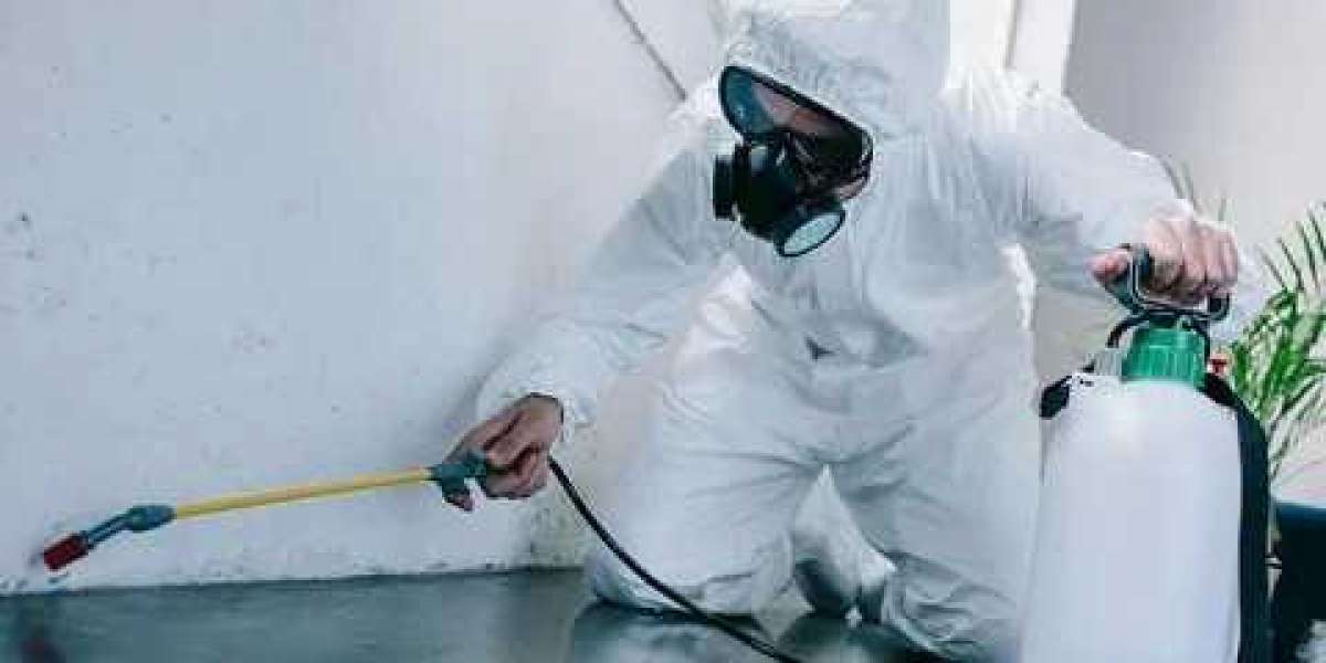 A Comprehensive Guide to Pest Control Services in Dubai and Abu Dhabi