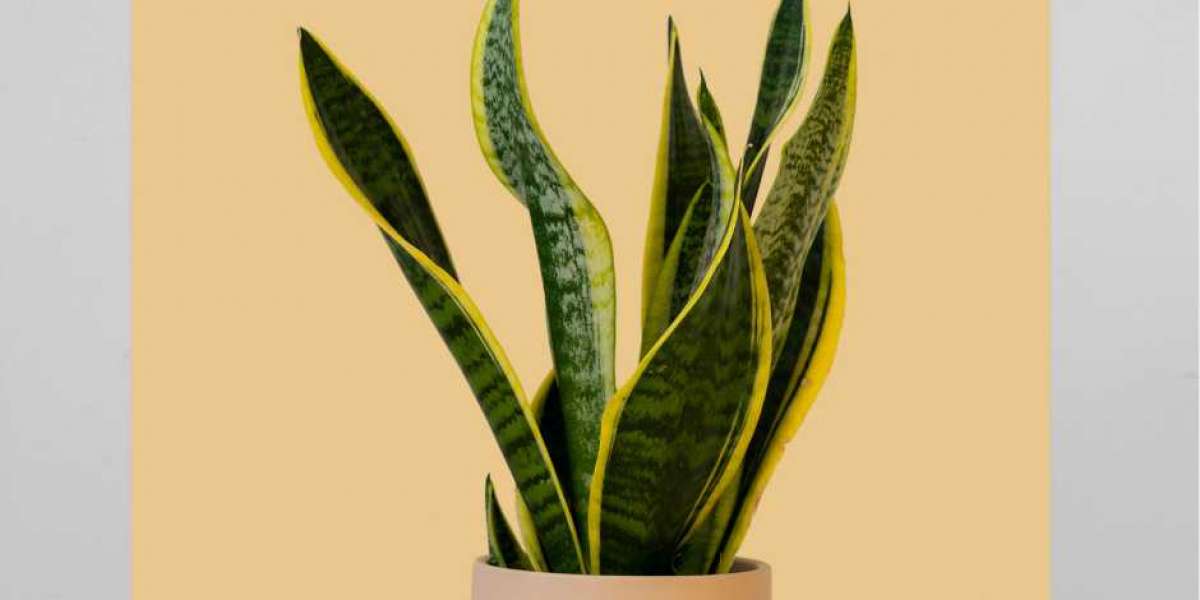 Artificial Plants:  The Perfect Solution for Busy Lifestyles