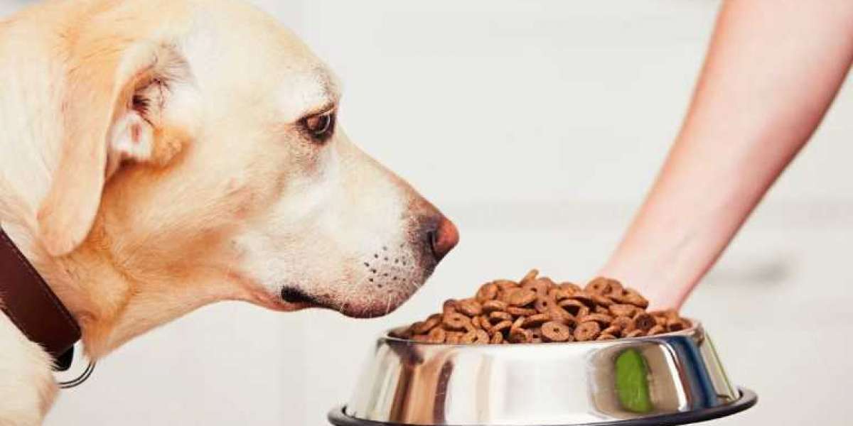 The Ultimate Guide to Skinners Dog Food: Quality Nutrition for Your Canine Companion