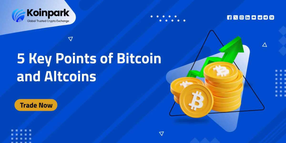 5 Key Points of Bitcoin and Altcoins