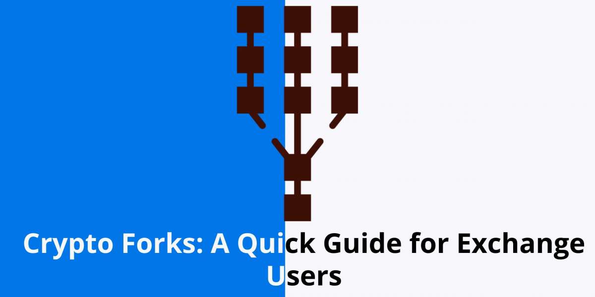 Crypto Forks: A Quick Guide for Exchange Users