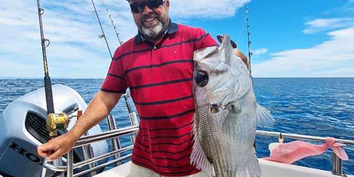 Gold Coast Fishing Charters: Your Gateway to Big Catches