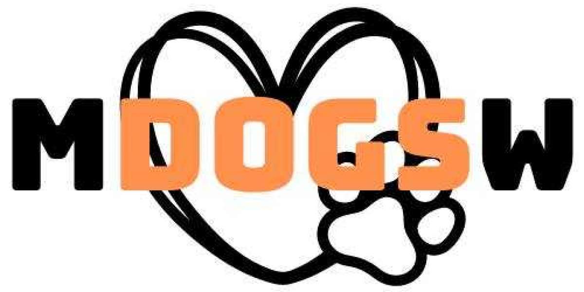 MDogsW: Your One-Stop Magazine for the Canine-Obsessed