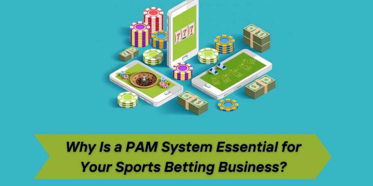 Why Is a PAM System Essential for Your Sports Betting Business?