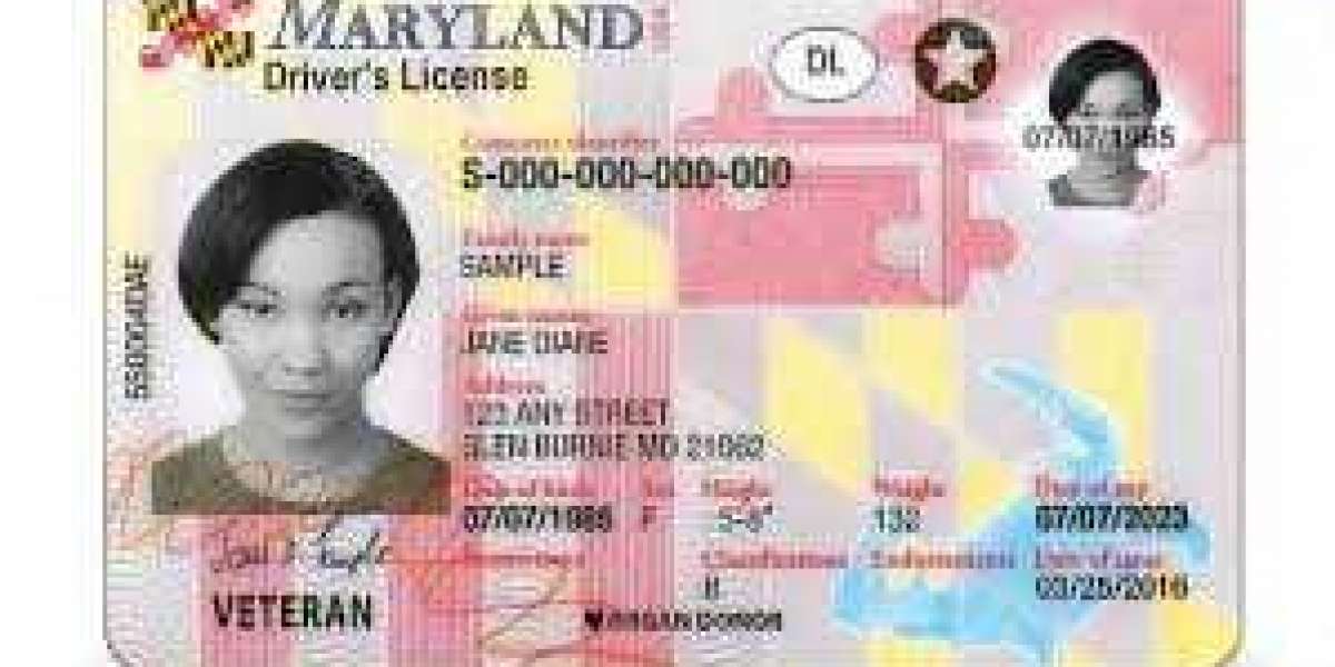 Navigating the Maze: Identifying Fake Maryland Driver License
