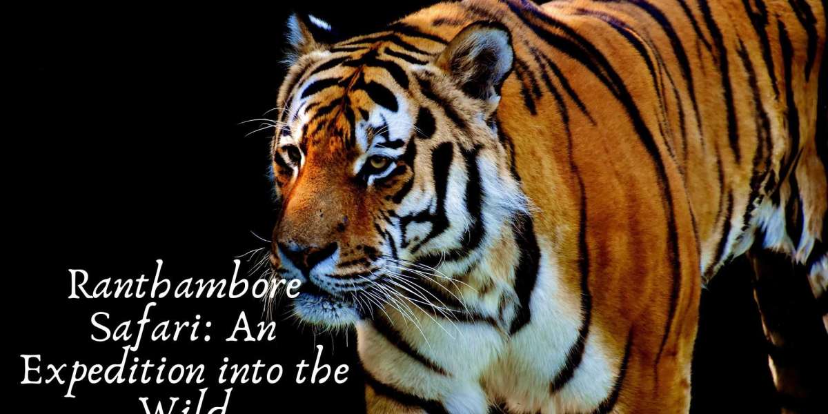 Ranthambore Safari: An Expedition into the Wild