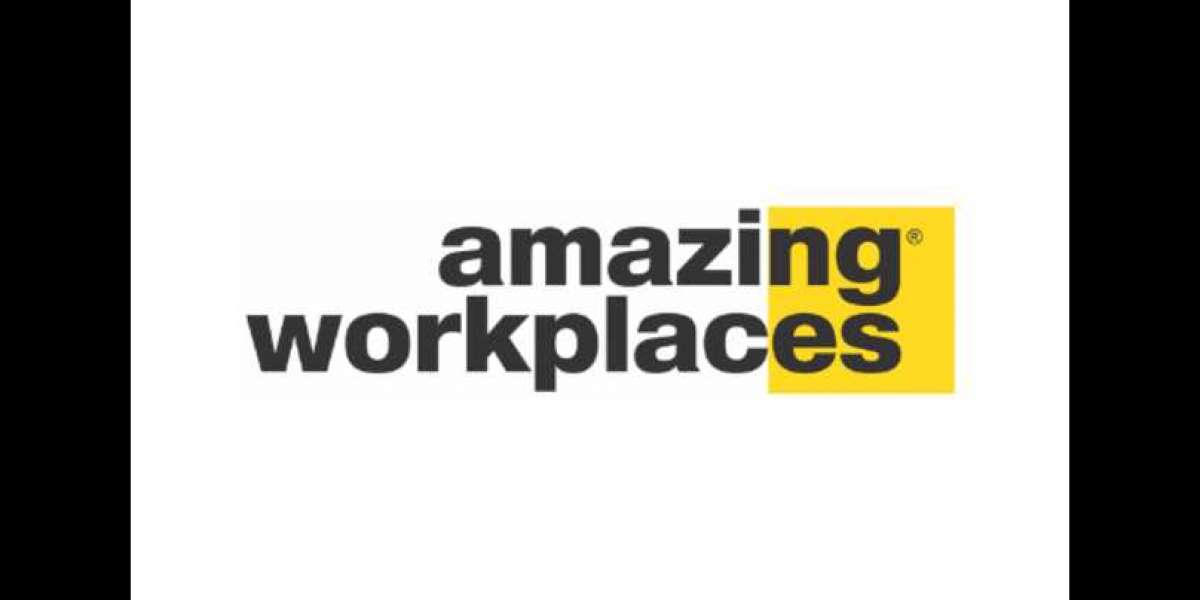 Insights from the Amazing Workplaces® Certification Process.