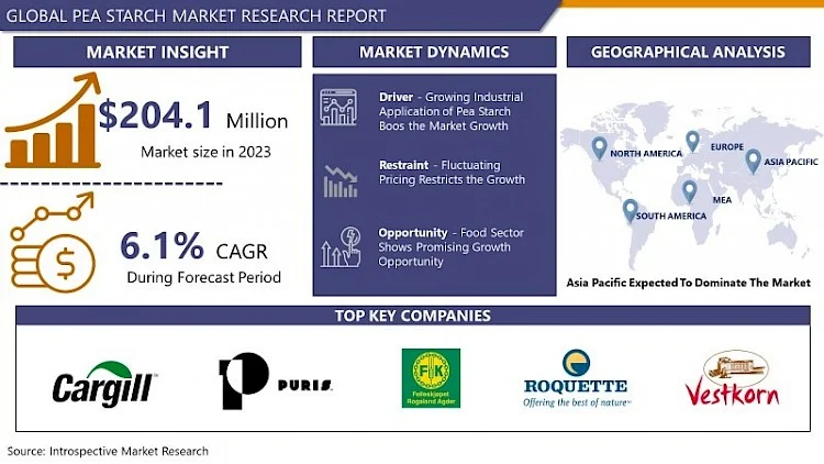 Pea Starch Market: Global Industry Analysis, Growth, Trends, Covid-19 Impact, And Forecasts (2024 - 2032)