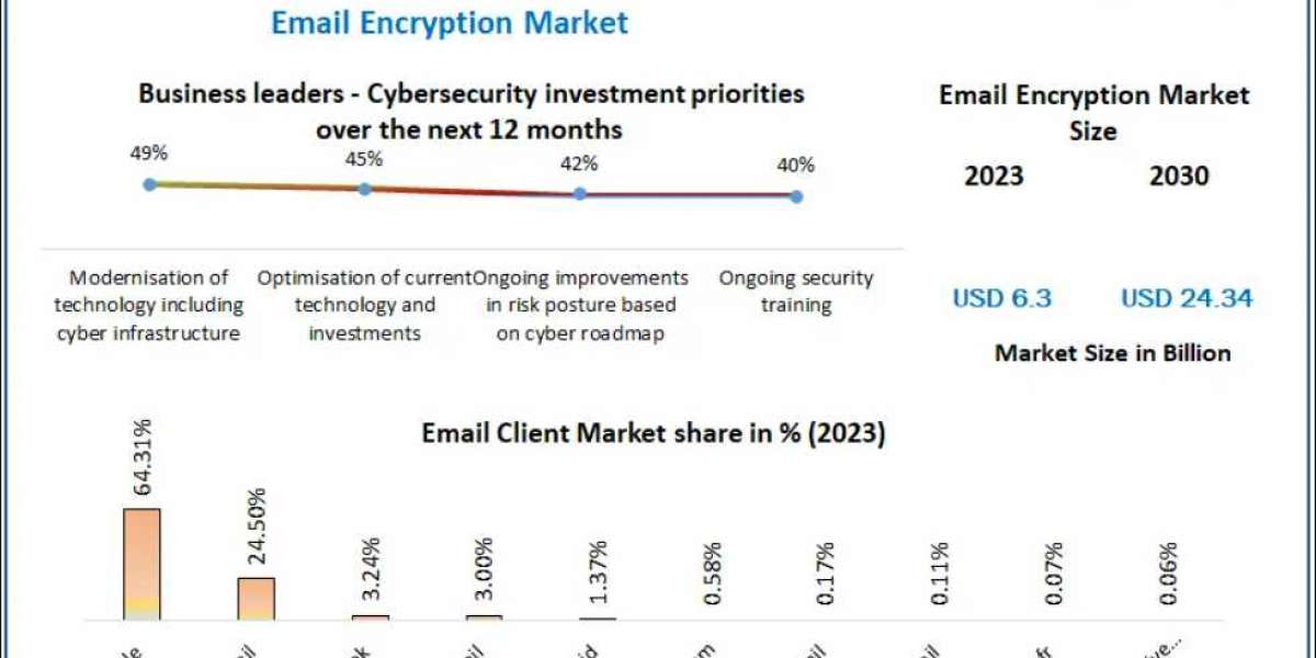 Email Encryption Future Market Dynamics and Forecast 2030